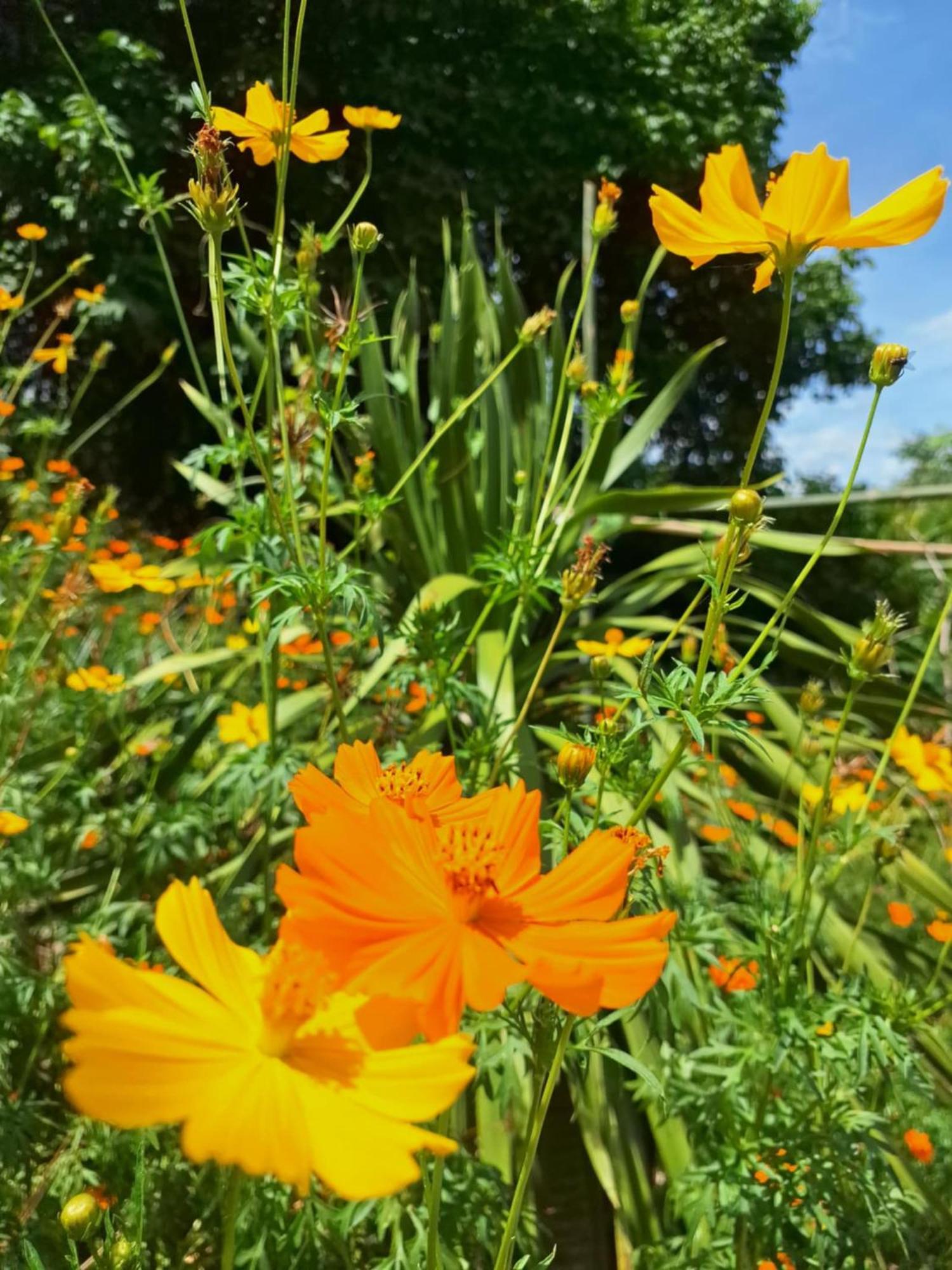Homestay Dat Phu 투이호아 외부 사진