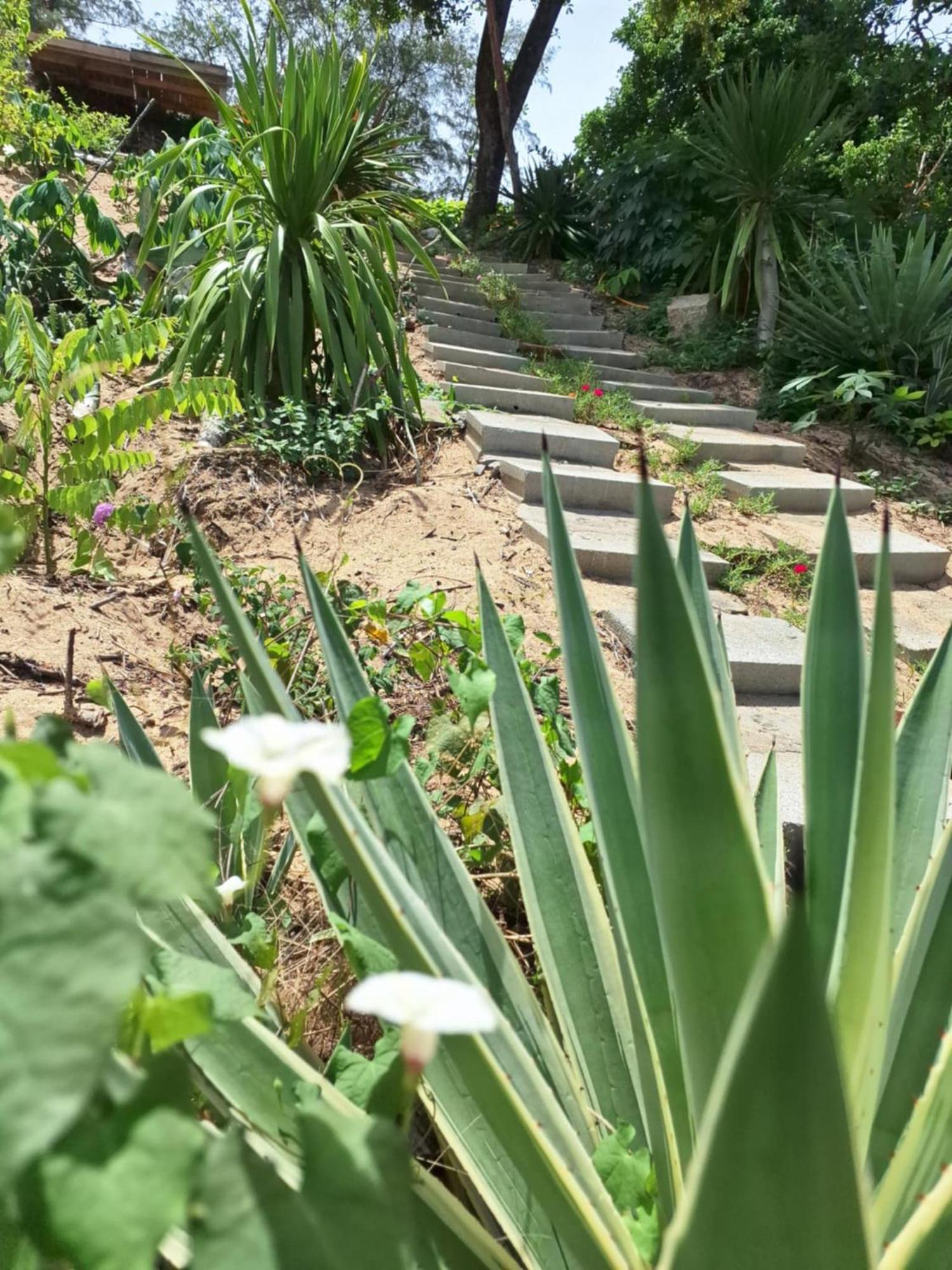 Homestay Dat Phu 투이호아 외부 사진