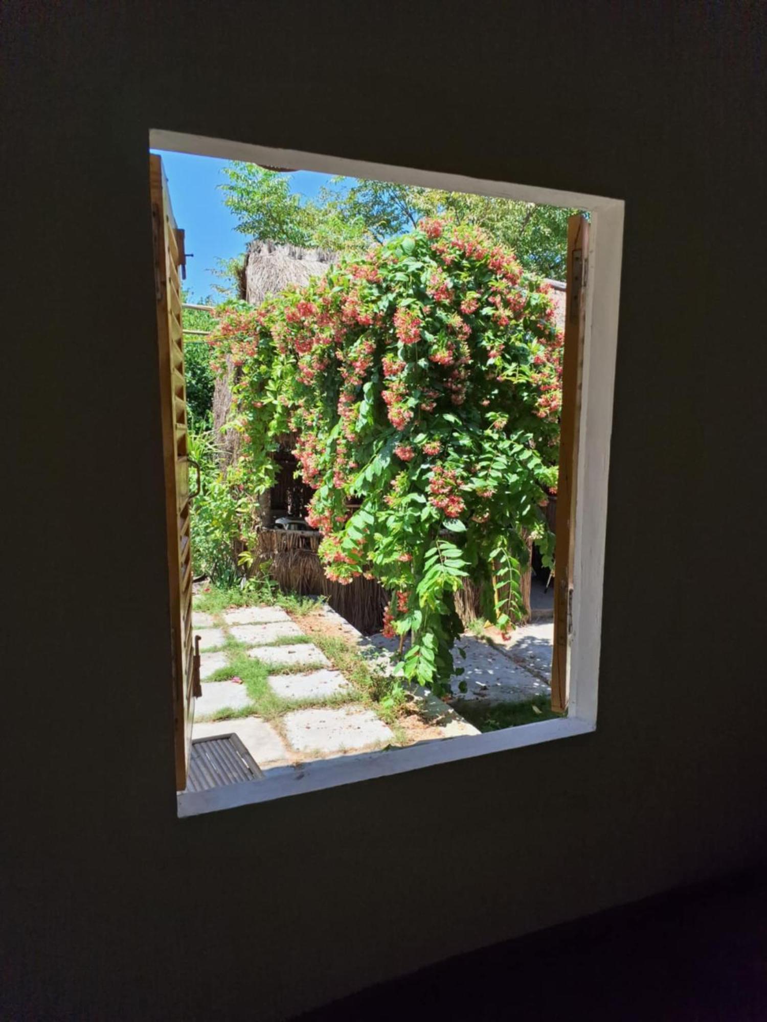 Homestay Dat Phu 투이호아 외부 사진