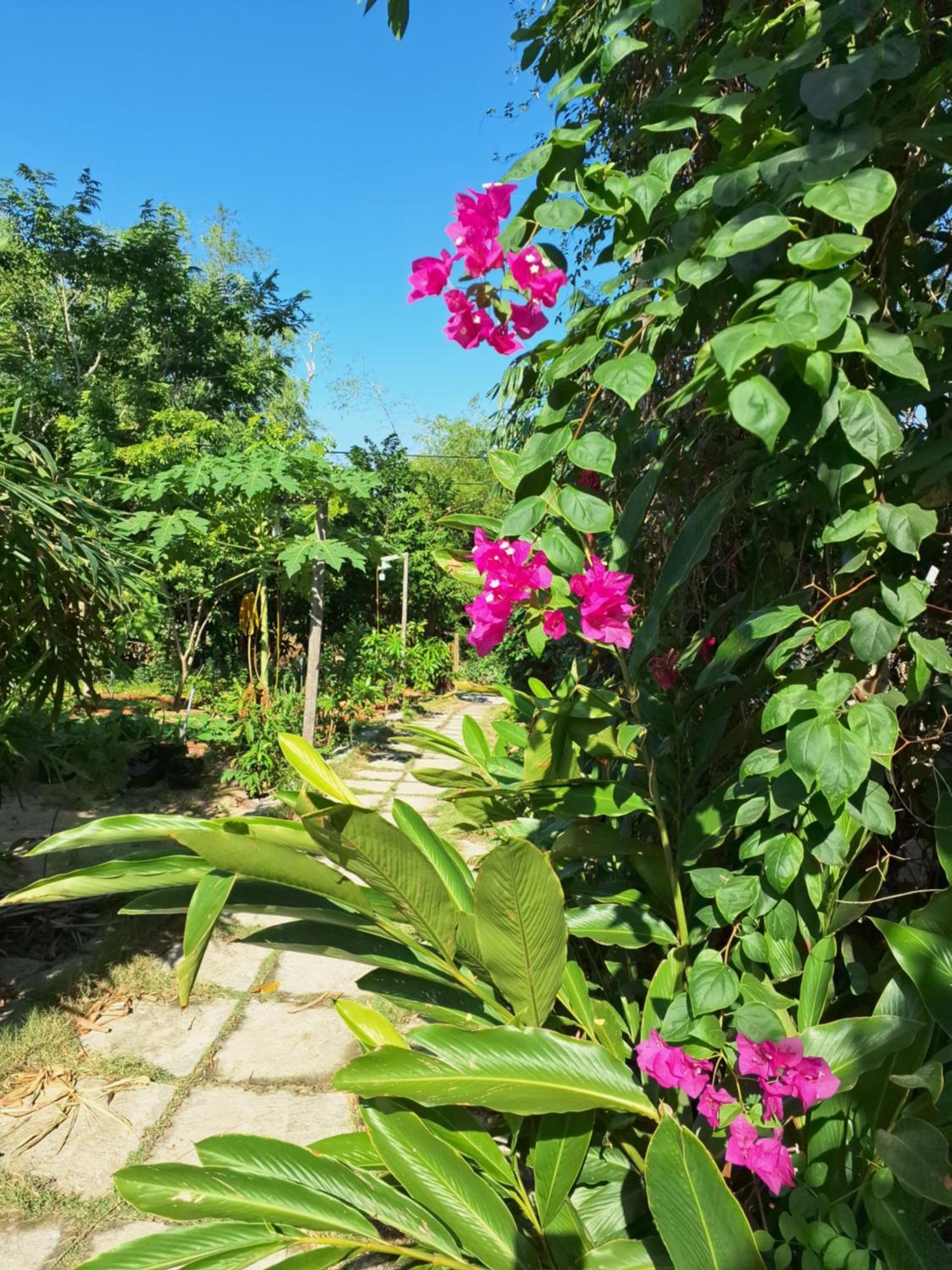 Homestay Dat Phu 투이호아 외부 사진