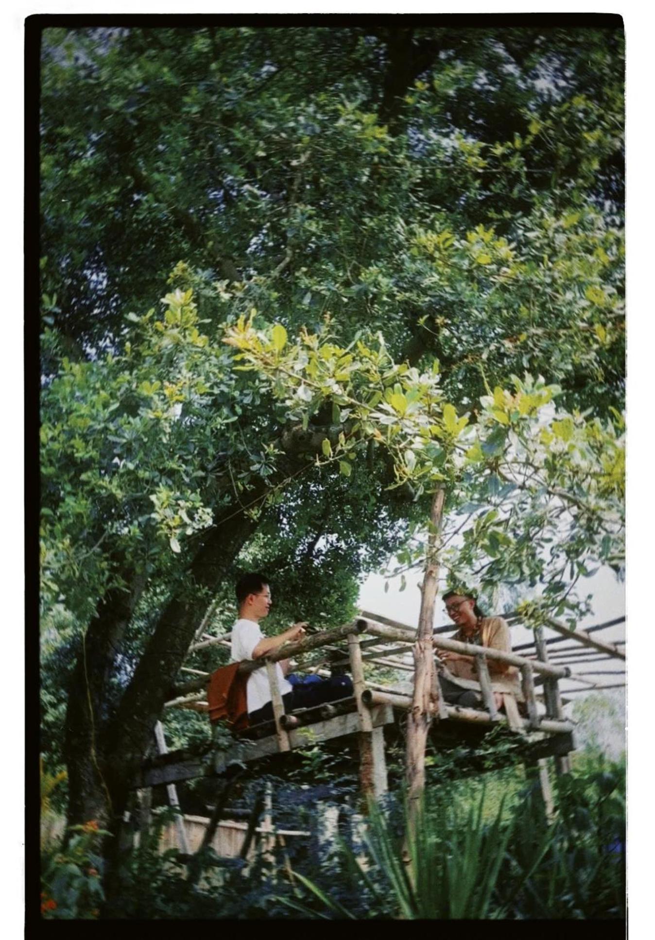 Homestay Dat Phu 투이호아 외부 사진
