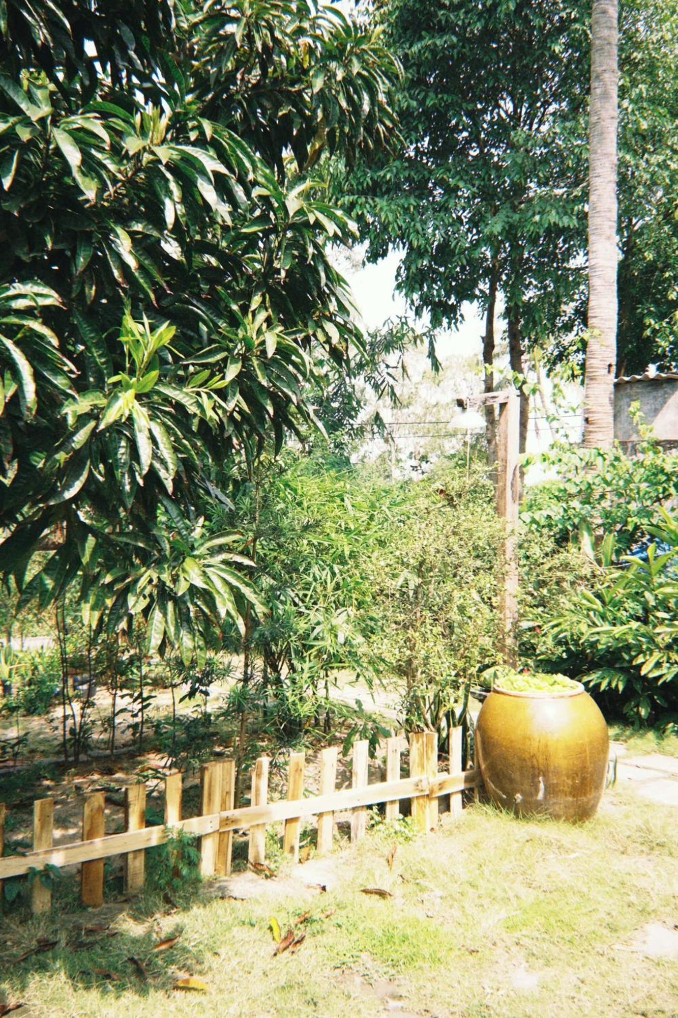Homestay Dat Phu 투이호아 외부 사진